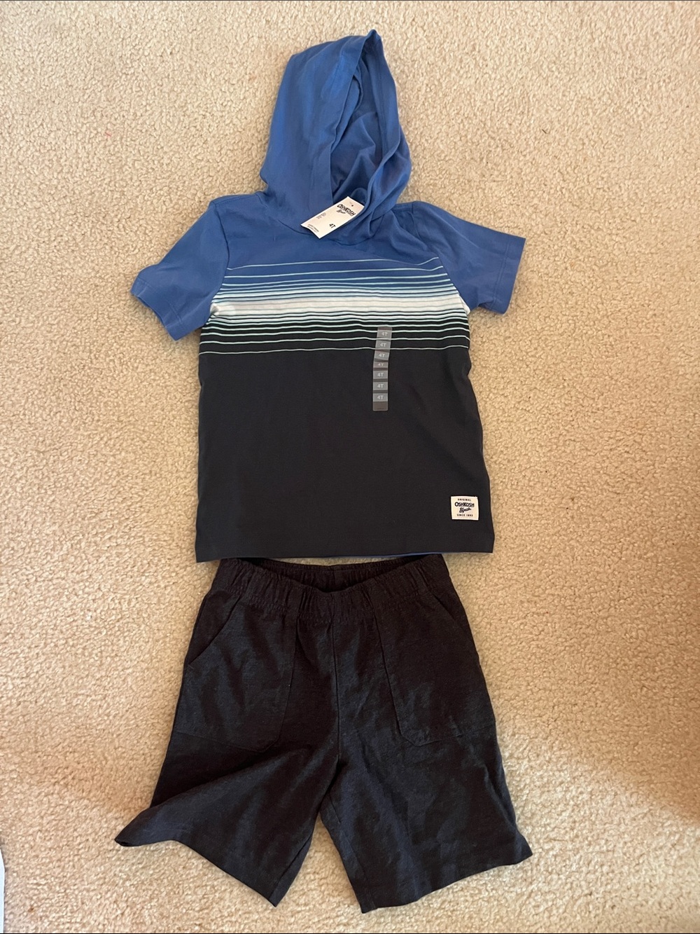 OshKosh B'gosh Blue Hooded Stripe Tee with Black Shorts